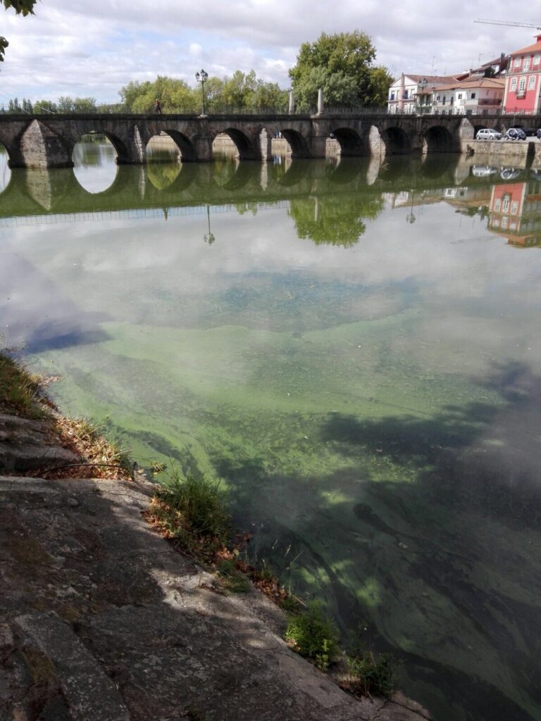 Poluição no Rio Tâmega. Chaves. 12 de setembro de 2017