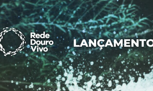 O nosso novo projeto: Rede Douro Vivo