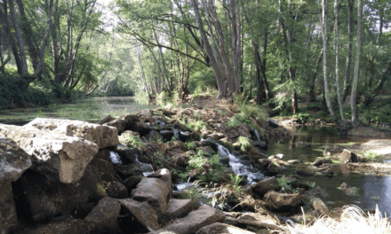 A Europa e a continuidade do rios