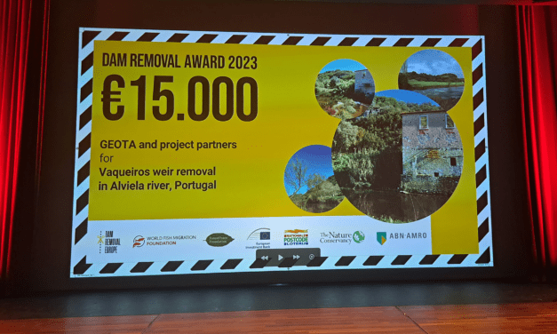 GEOTA distinguido com o prémio internacional da DAM REMOVAL EUROPE 2023