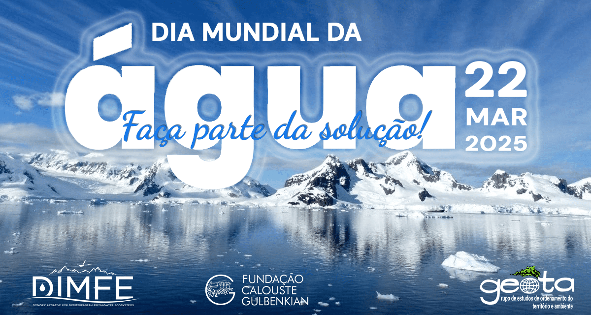 Dia Mundial da Água