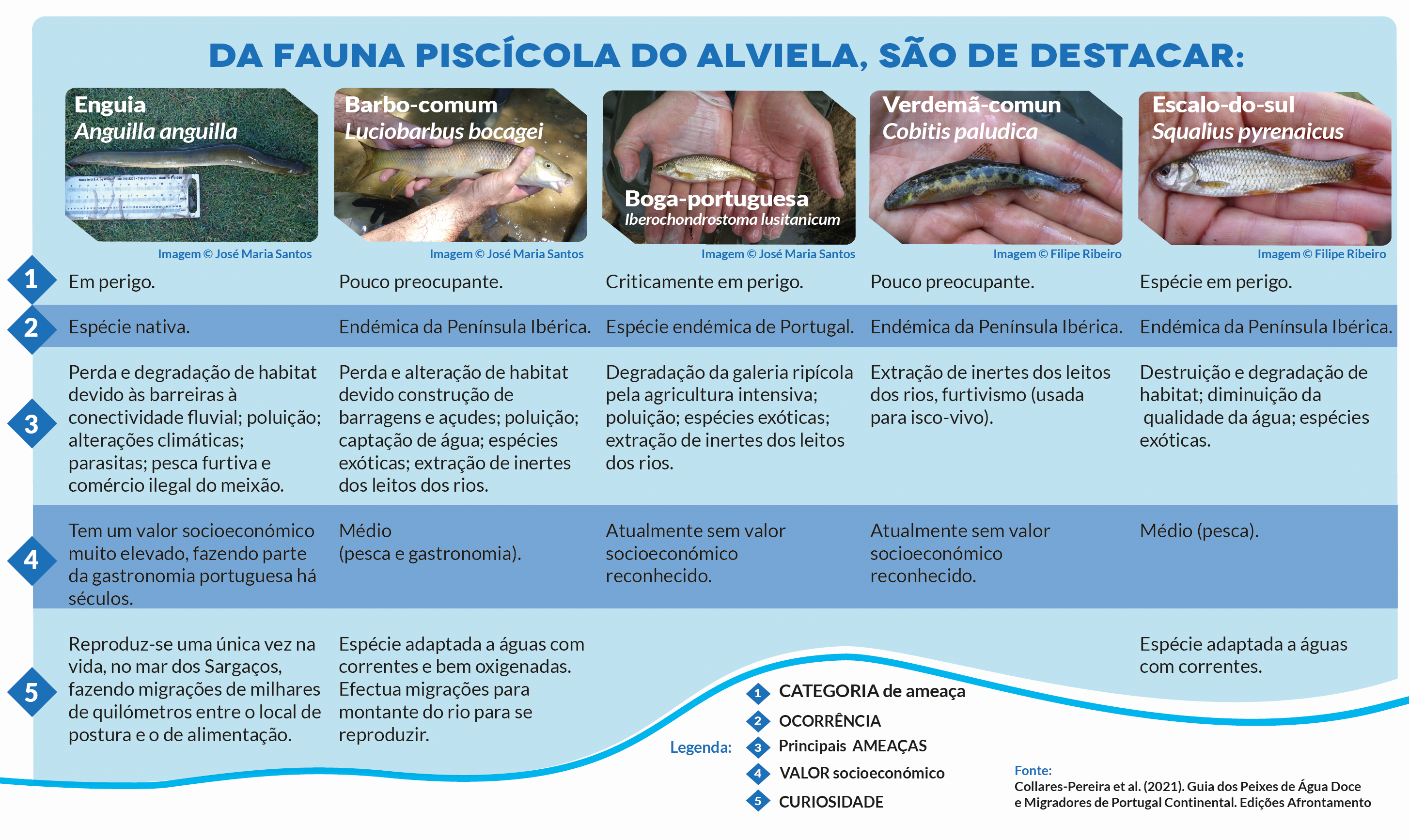 peixes