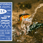 O Observatório dos Rios do Alviela vai decorrer na praia fluvial dos Olhos de Água nos dias 5 e 6 de julho