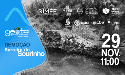 Assista à remoção de barreira obsoleta no Rio Alviela