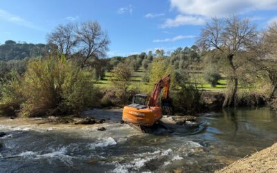 Removida mais uma barreira obsoleta no Alviela!