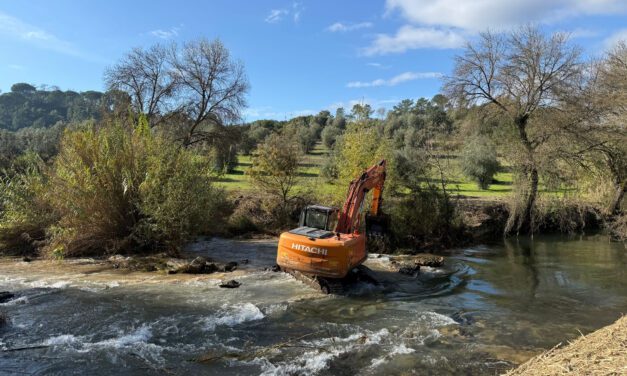 Removida mais uma barreira obsoleta no Alviela!