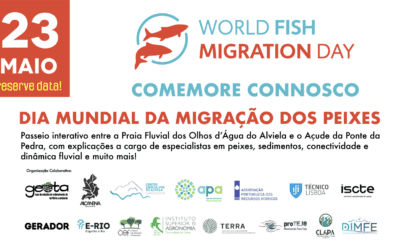23 Maio – Dia Mundial da Migração dos Peixes