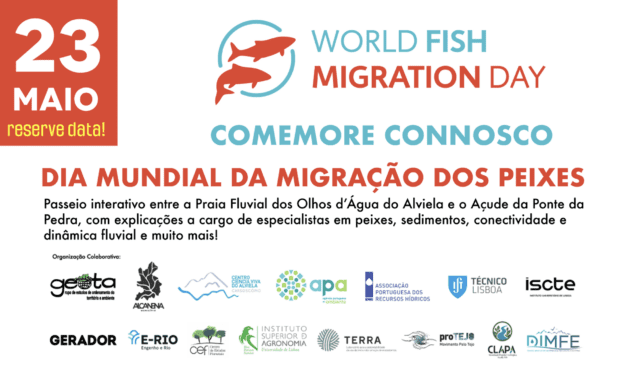 23 Maio – Dia Mundial da Migração dos Peixes