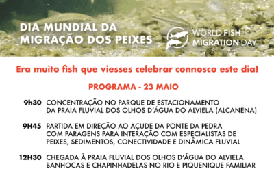 23 maio – Dia Mundial da Migração dos Peixes