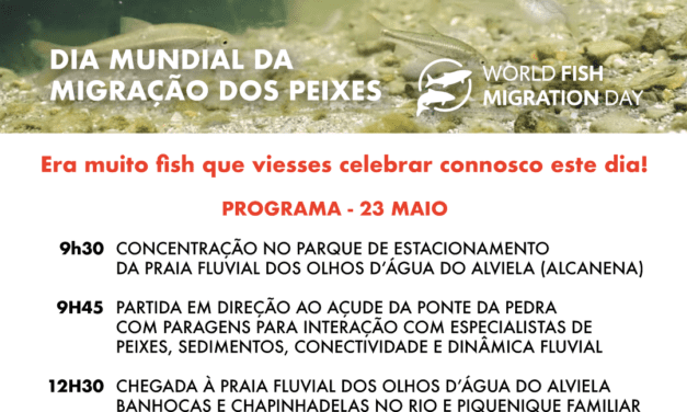 23 maio – Dia Mundial da Migração dos Peixes